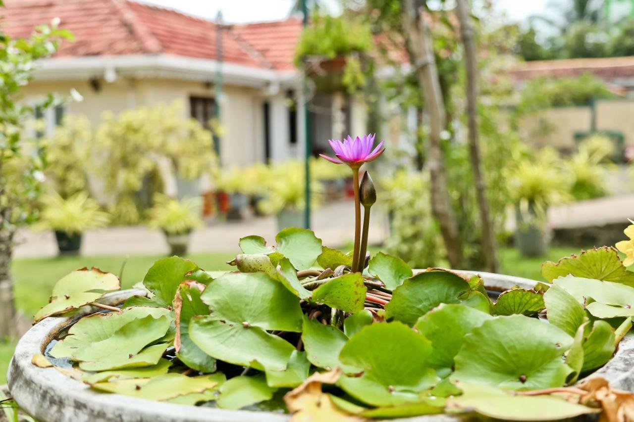 Merlyn Villa Negombo Exterior foto